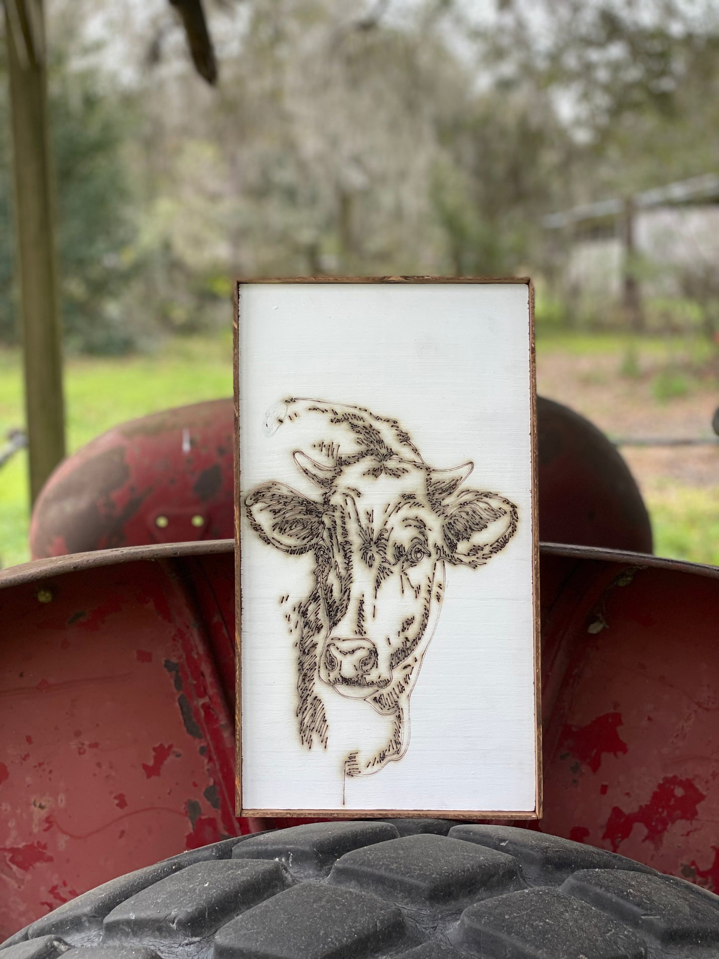 Rustic Cow Face
