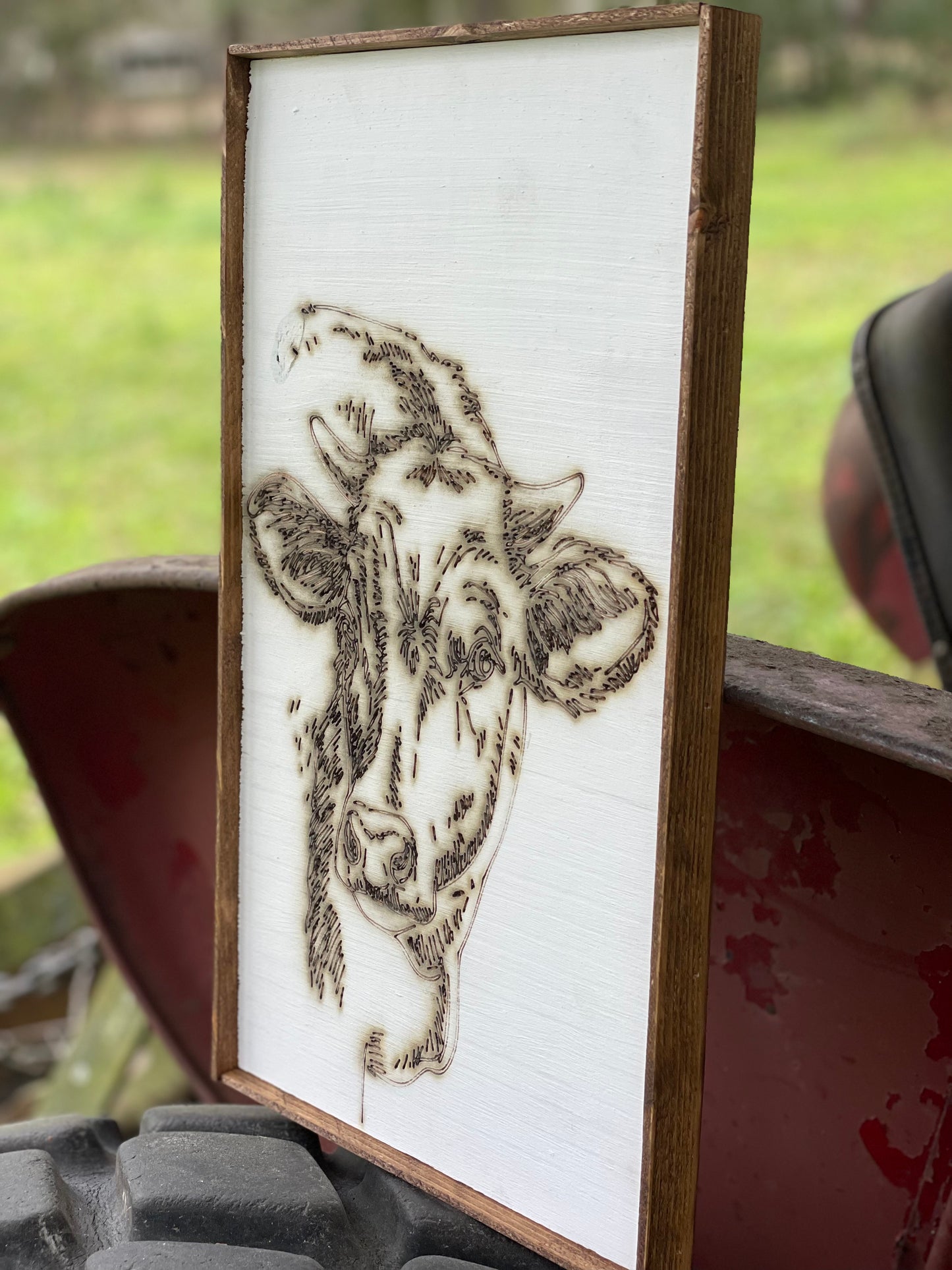 Rustic Cow Face